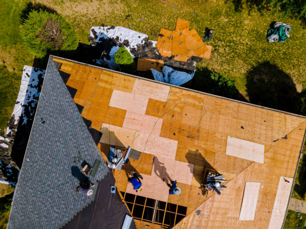 Best Roof Maintenance Services  in Mino Tassajara, CA