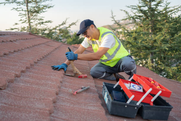 Best Roof Gutter Cleaning  in Mino Tassajara, CA